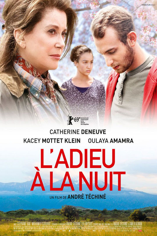 L Adieu à La Nuit Streaming L'adieu à la nuit | Cinéma | Weclap